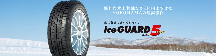 Iceguard5